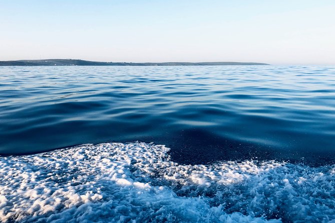 Whale Watching Tour in Hermanus with Hotel Pickup - Weather, cancellation, and practical planning