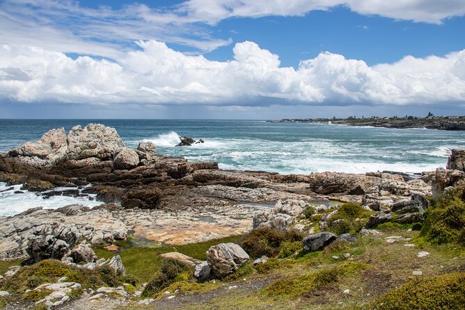 Whale Wonders: Majestic Marine Adventures in Hermanus - Getting out on the water near Hermanus