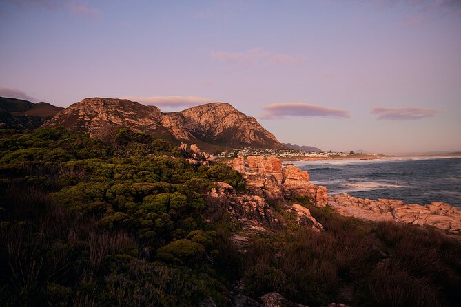 Whale Wonders: Majestic Marine Adventures in Hermanus - Who will enjoy this Hermanus outing most