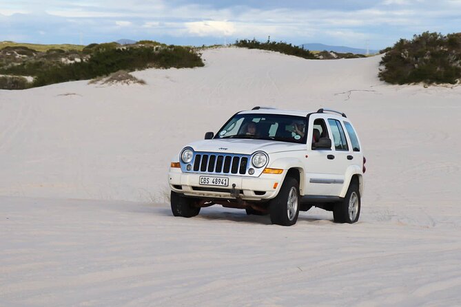 WildX Adventures Jeep 4x4 White Sand Dunes in Cape Town Atlantis - Following the sandy tracks