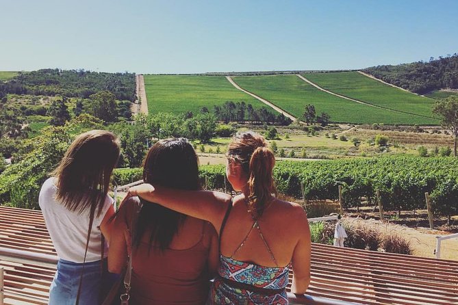 Wine Beer and Biltong Safari - Stellenbosch - Biltong and wine make the most local pairing