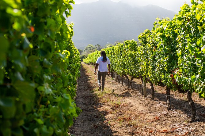 Wine Beer and Biltong Safari - Stellenbosch - An afternoon braai keeps the day grounded