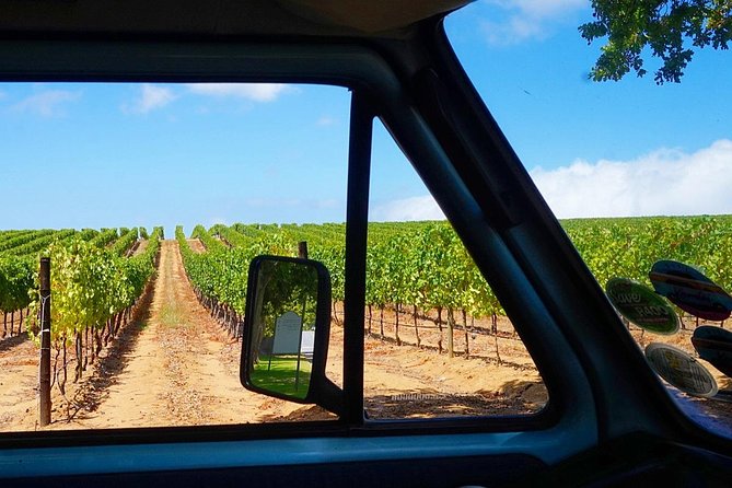 Wine Beer and Biltong Safari - Stellenbosch - What the $105.62 price really covers