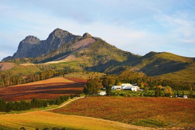 Wine Beer and Biltong Safari - Stellenbosch - Leaving Cape Town at 10:00 am