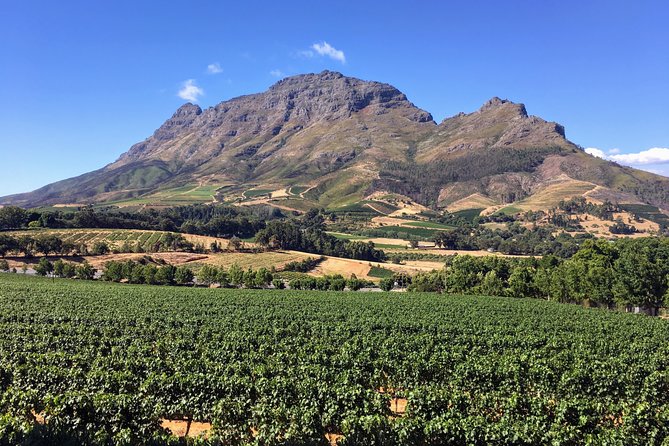Wine tasting - Boutique farms - Key points before you book