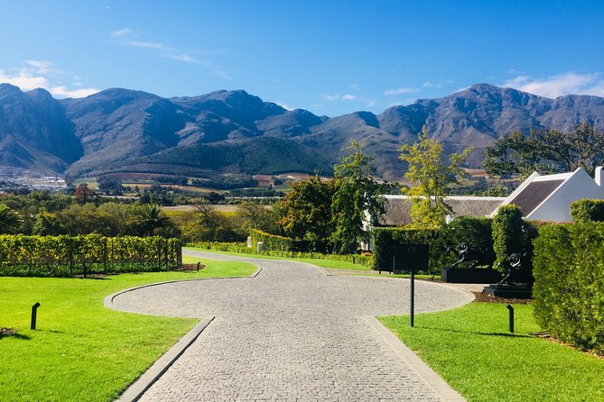 Wine tasting - Boutique farms - Why this Stellenbosch outing feels different
