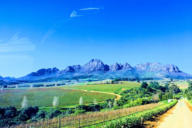 Wine tasting - Boutique farms - Scenery, architecture, and photo stops