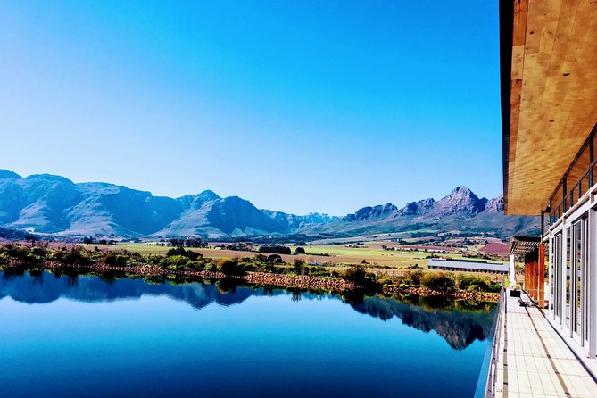 Wine tasting - Boutique farms - Wine education without the classroom feeling