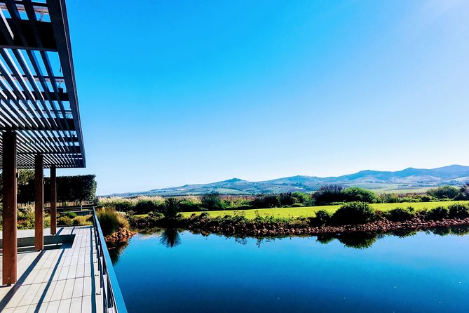 Wine tasting - Boutique farms - Food pairings, brunch, and the role of lunch