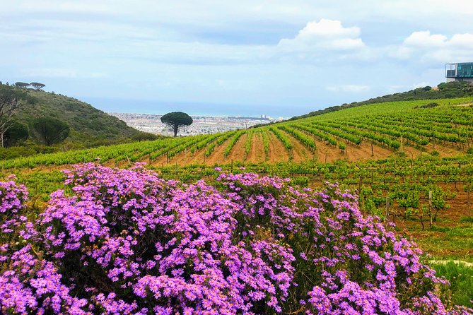 Wine tasting - Boutique farms - What the $233.87 price buys you