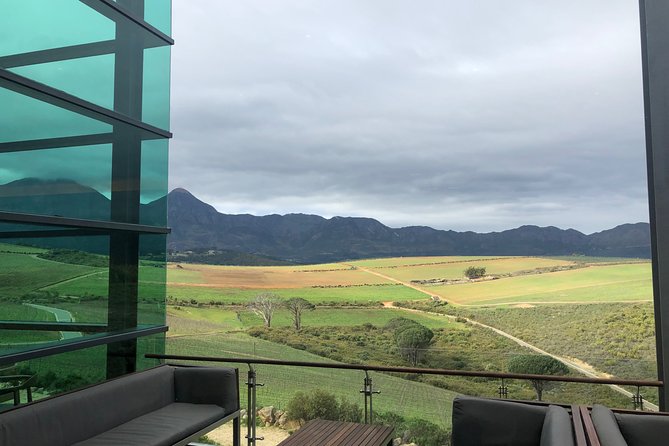 Wine tasting - Boutique farms - The guides: Tingo, Sungani, and Gavin