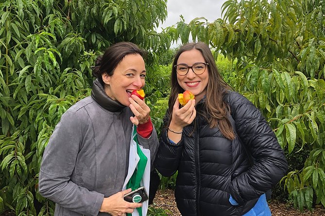 Wine Tasting, Cape Dutch Farm and Art Day Tour from Cape Town - Why this Cape Winelands tour feels different