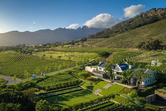 Wine Tasting, Cape Dutch Farm and Art Day Tour from Cape Town - Muratie: a final tasting with a handcrafted feel