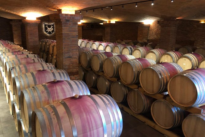 Wine Tasting, Cape Dutch Farm and Art Day Tour from Cape Town - Transport, group size, and the value of $186.22