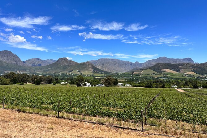 Wine Tasting in Cape's Top Three Winelands Private Tour - Fairview’s goat cheese and wine pairing