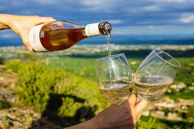 Wine Tasting in Constantia Region Cape Town - Constantia Glen: seven tasting choices and wide views