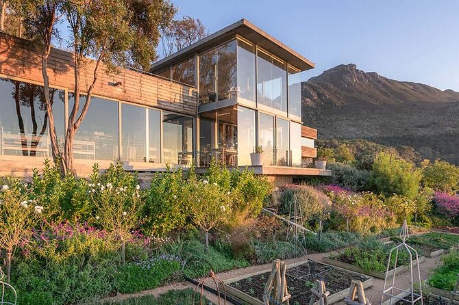 Wine Tasting in Constantia Region Cape Town - Beau Constantia: steep slopes and a boutique finish
