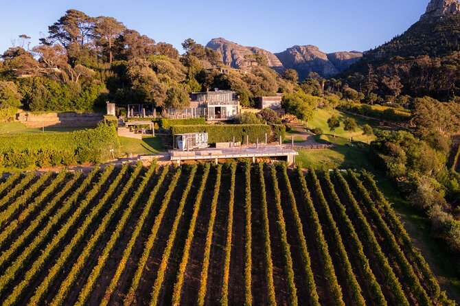 Wine Tasting in Constantia Region Cape Town - Four hours in a private air-conditioned vehicle