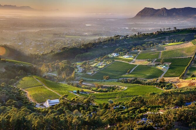 Wine Tasting in Constantia Region Cape Town - Who should book this Constantia experience?