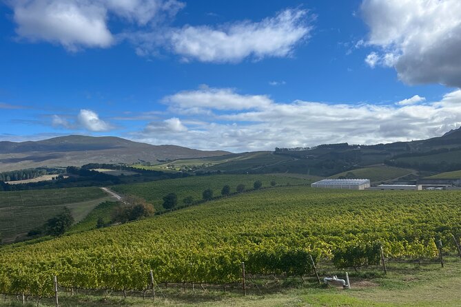 Wine Tasting Private Tour in Cape Winelands - Fairview Wine and Cheese closes the day