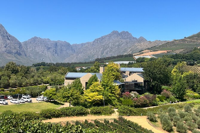 Wine Tasting Private Tour in Cape Winelands - What the private format adds