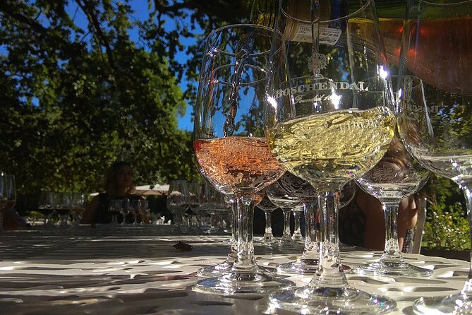 Wine Tour to Stellenbosch & Franschhoek with Tastings & Lunch - Key points to know before booking