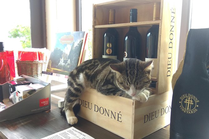 Wine Tour to Stellenbosch & Franschhoek with Tastings & Lunch - Why this Cape Town wine tour works so well
