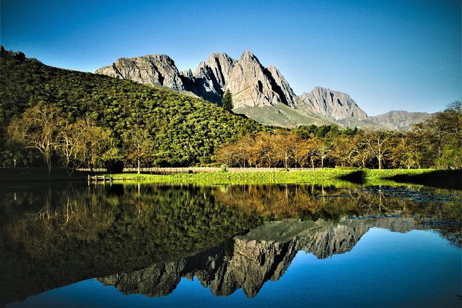 Wine Tour to Stellenbosch & Franschhoek with Tastings & Lunch - Ways to make the tour better