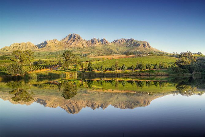 Winelands Full Day Tour - Four Cape Winelands districts in one day