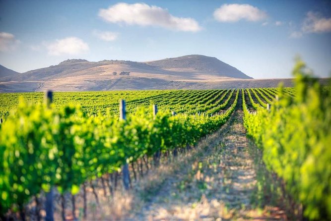 Winelands Full Day Tour - Lunch is flexible, but budget for it
