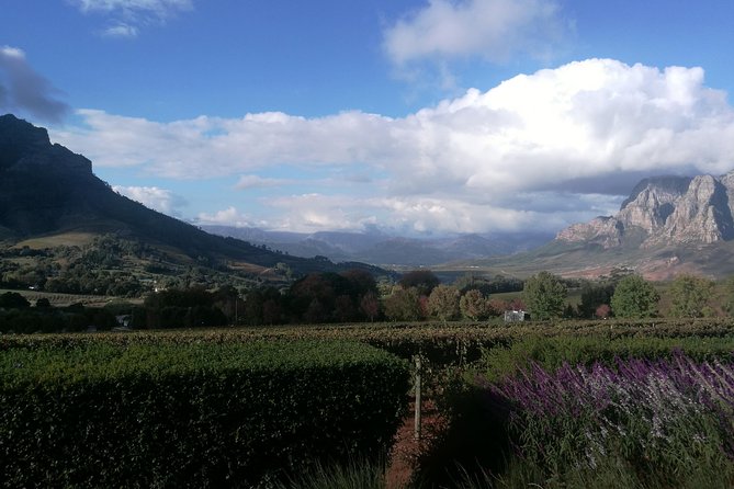 Winelands Full Day Tour - Stellenbosch and Dorp Street’s old Cape architecture