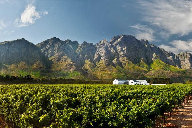 Winelands Full Day Tour - The Mandela release site and Franschhoek’s French character