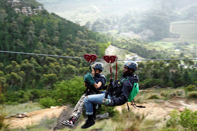 Zipline Cape Town - From Foot of Table Mountain Reserve - Key points to know before you book