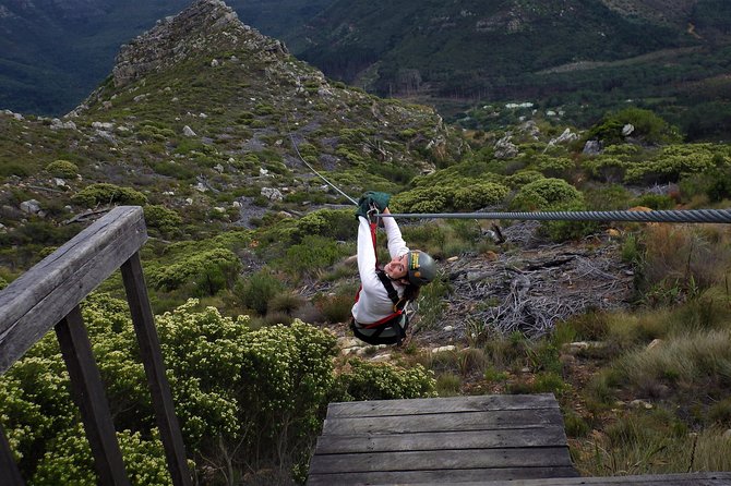 Zipline Cape Town - From Foot of Table Mountain Reserve - Seven cables, 11 platforms, and mountain walking