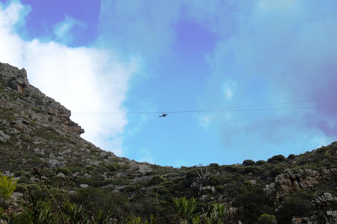 Zipline Cape Town - From Foot of Table Mountain Reserve - Why the views are worth the nerves