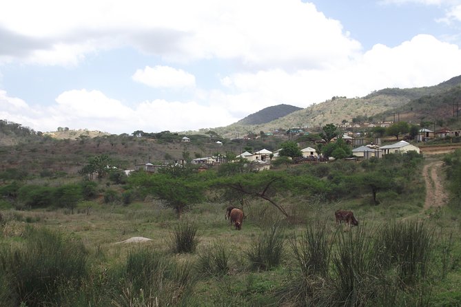 Zulu Cultural Experience - Tour to the village of iSithumba and PheZulu - Lunch in the Valley of 1000 Hills
