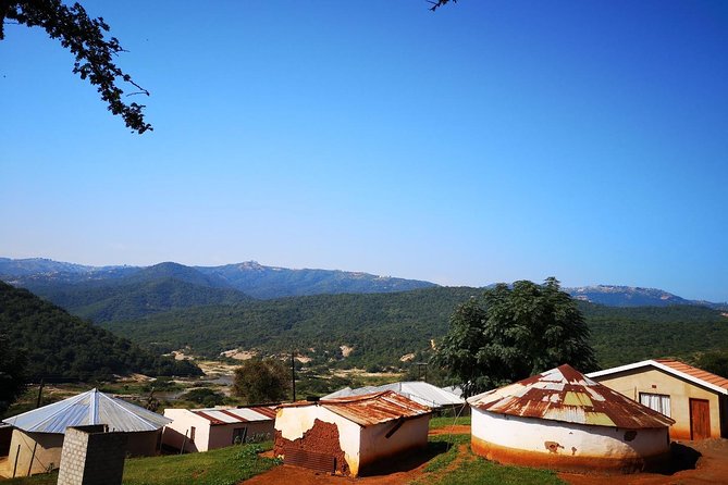 Zulu Cultural Experience: Zulu Village + Tribal Markets + Traditional Zulu Food - Practical Advice Before You Go