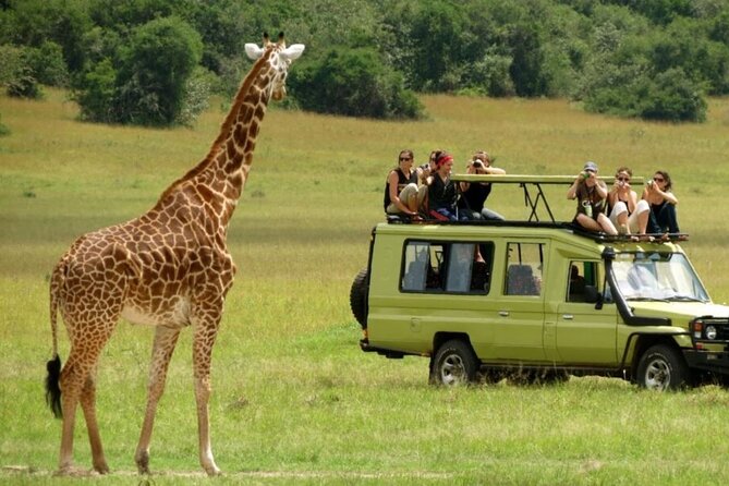 Zululand 5 Day Private Safari from Durban - Why this five-day route works