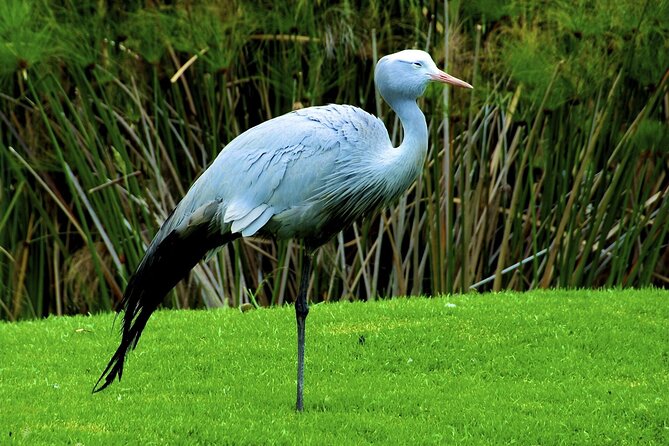Zululand 5 Day Private Safari from Durban - Day 3: Cape Vidal, Durban markets, and the beachfront